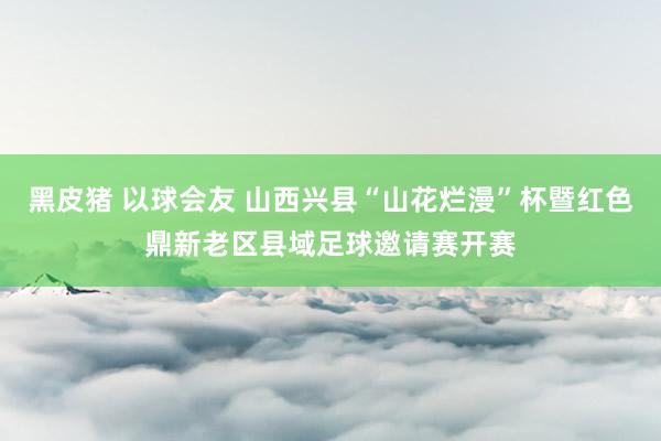 黑皮猪 以球会友 山西兴县“山花烂漫”杯暨红色鼎新老区县域足球邀请赛开赛