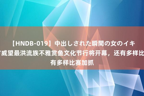 【HNDB-019】中出しされた瞬間の女のイキ顔 朔方威望最洪流族不雅赏鱼文化节行将开幕，还有多样比赛加抓