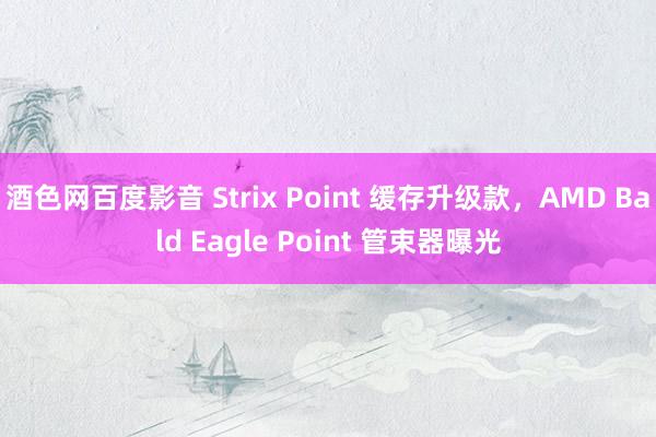 酒色网百度影音 Strix Point 缓存升级款，AMD Bald Eagle Point 管束器曝光