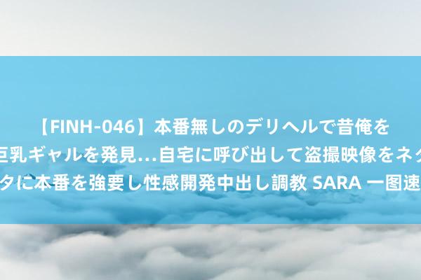 【FINH-046】本番無しのデリヘルで昔俺をバカにしていた同級生の巨乳ギャルを発見…自宅に呼び出して盗撮映像をネタに本番を強要し性感開発中出し調教 SARA 一图速读三中全会《决定》60条