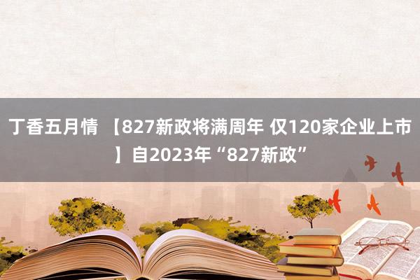 丁香五月情 【827新政将满周年 仅120家企业上市】自2023年“827新政”