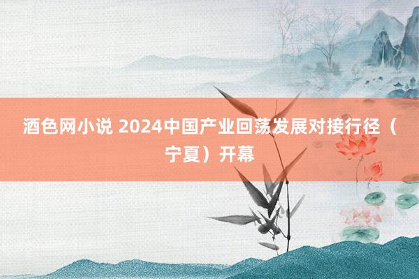 酒色网小说 2024中国产业回荡发展对接行径（宁夏）开幕