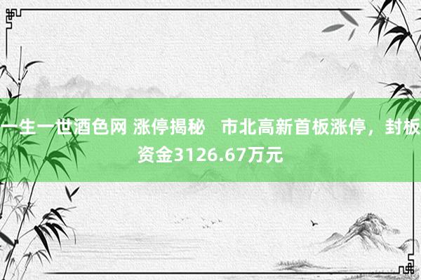 一生一世酒色网 涨停揭秘   市北高新首板涨停，封板资金3126.67万元