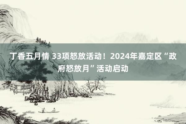 丁香五月情 33项怒放活动！2024年嘉定区“政府怒放月”活动启动