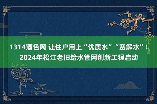 1314酒色网 让住户用上“优质水”“宽解水”！2024年松江老旧给水管网创新工程启动