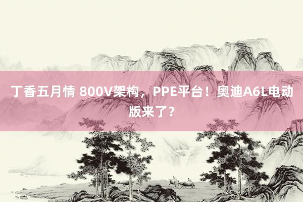 丁香五月情 800V架构，PPE平台！奥迪A6L电动版来了？