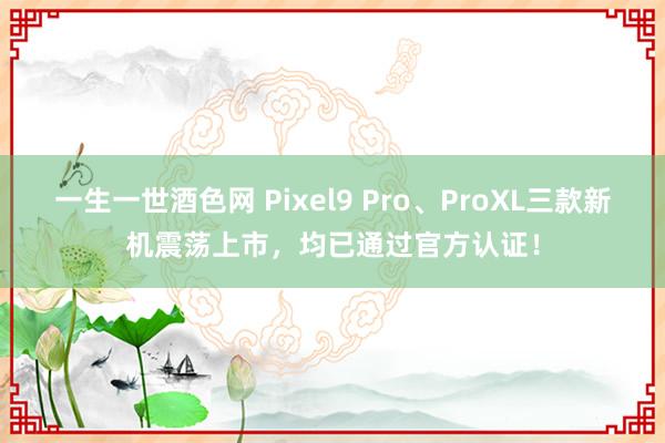 一生一世酒色网 Pixel9 Pro、ProXL三款新机震荡上市，均已通过官方认证！