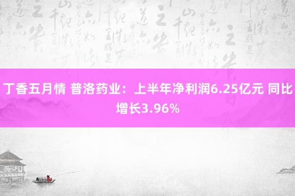 丁香五月情 普洛药业：上半年净利润6.25亿元 同比增长3.96%