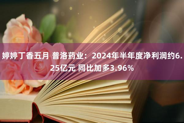 婷婷丁香五月 普洛药业：2024年半年度净利润约6.25亿元 同比加多3.96%