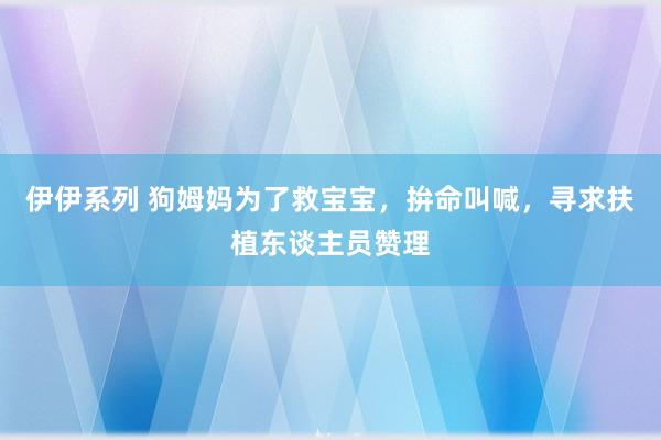 伊伊系列 狗姆妈为了救宝宝，拚命叫喊，寻求扶植东谈主员赞理