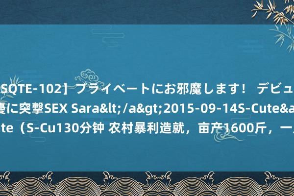 【SQTE-102】プライベートにお邪魔します！ デビューしたてのAV女優に突撃SEX Sara</a>2015-09-14S-Cute&$S-Cute（S-Cu130分钟 农村暴利造就，亩产1600斤，一斤24元，造就8亩应对年赚25万元！