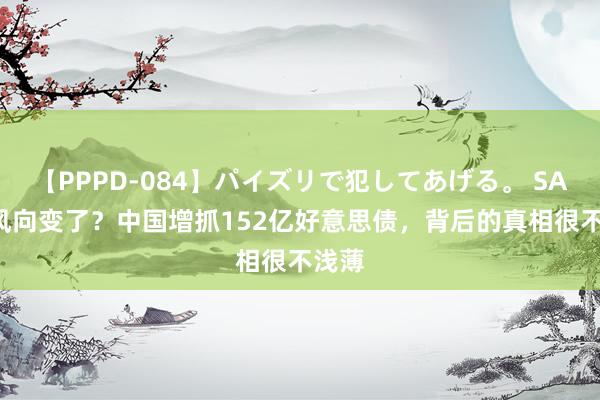 【PPPD-084】パイズリで犯してあげる。 SARA 风向变了？中国增抓152亿好意思债，背后的真相很不浅薄