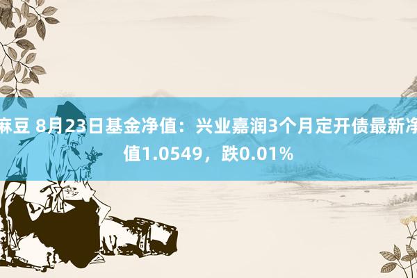 麻豆 8月23日基金净值：兴业嘉润3个月定开债最新净值1.0549，跌0.01%