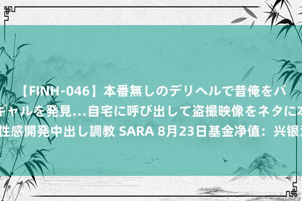 【FINH-046】本番無しのデリヘルで昔俺をバカにしていた同級生の巨乳ギャルを発見…自宅に呼び出して盗撮映像をネタに本番を強要し性感開発中出し調教 SARA 8月23日基金净值：兴银汇智定开债最新净值1.0476，跌0.01%