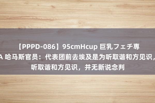 【PPPD-086】95cmHcup 巨乳フェチ専用ソープ SARA 哈马斯官员：代表团前去埃及是为听取谐和方见识，并无新说念判