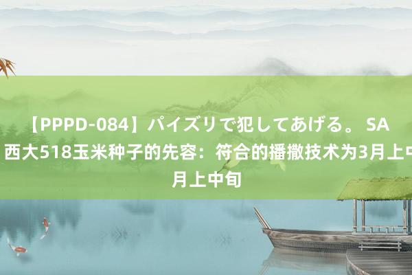 【PPPD-084】パイズリで犯してあげる。 SARA 西大518玉米种子的先容：符合的播撒技术为3月上中旬