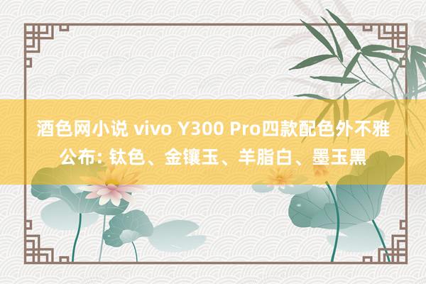 酒色网小说 vivo Y300 Pro四款配色外不雅公布: 钛色、金镶玉、羊脂白、墨玉黑