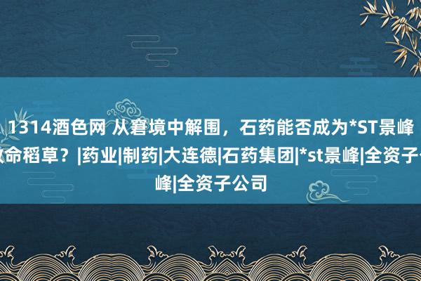 1314酒色网 从窘境中解围，石药能否成为*ST景峰的救命稻草？|药业|制药|大连德|石药集团|*st景峰|全资子公司