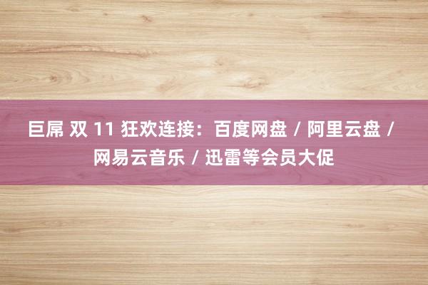 巨屌 双 11 狂欢连接：百度网盘 / 阿里云盘 / 网易云音乐 / 迅雷等会员大促