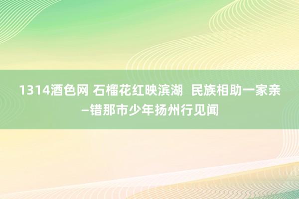 1314酒色网 石榴花红映滨湖  民族相助一家亲—错那市少年扬州行见闻